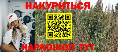 Альфа ПВП Аргун