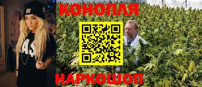 Альфа ПВП Аргун