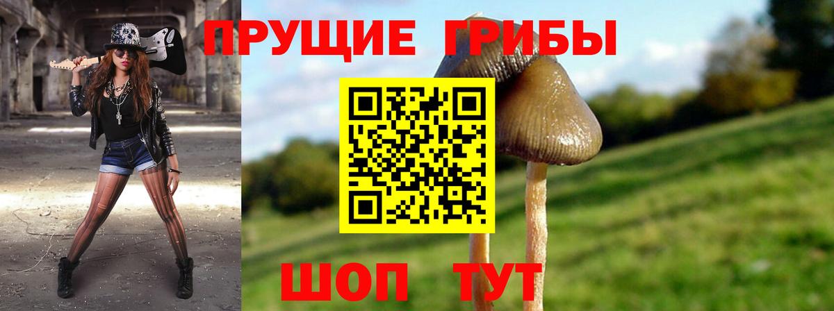 Вышний Волочёк  где продают наркотики  Галлюциногенные грибы мицелий  Вход с VPN  Галлюциногенные грибы MAGIC MUSHROOMS 
